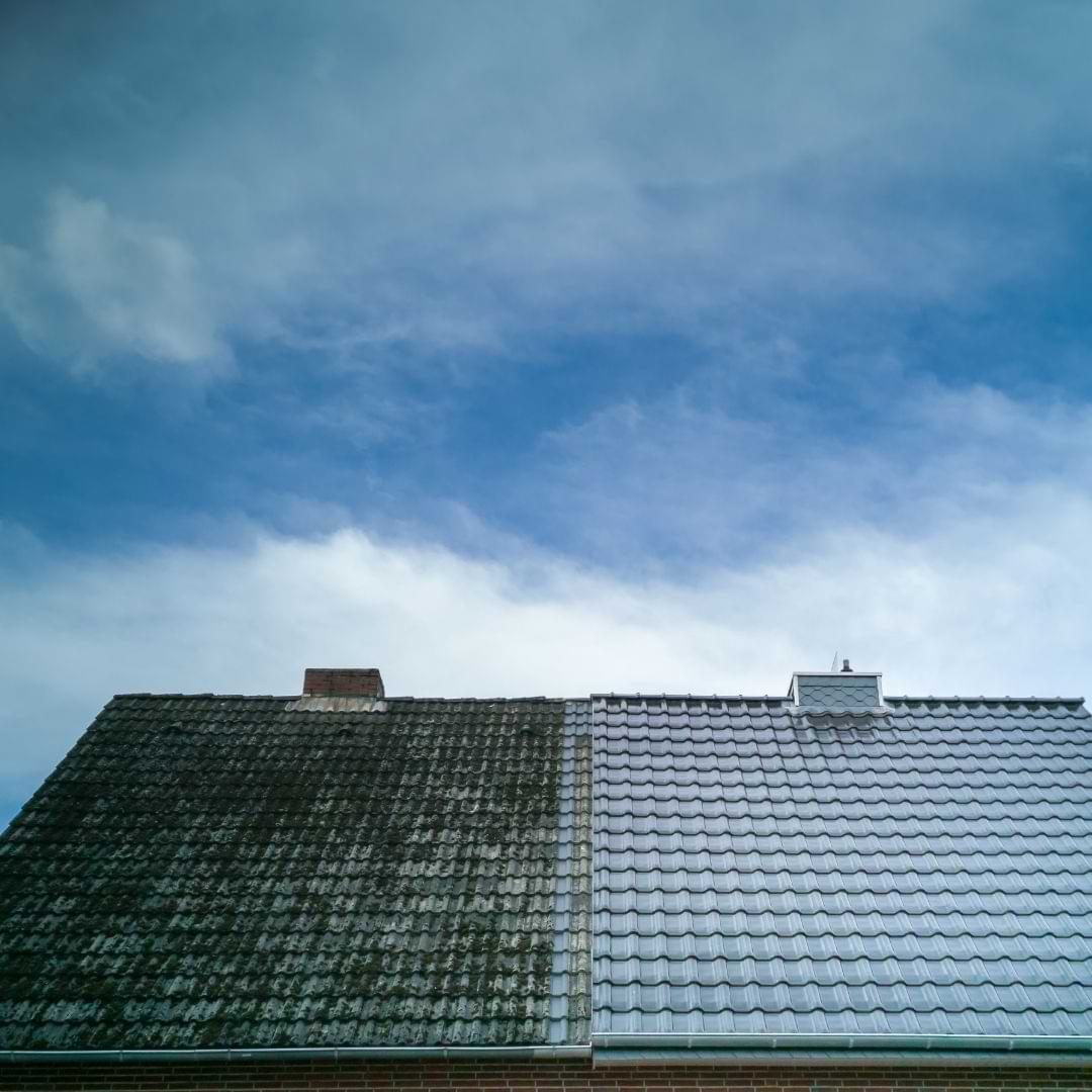 Roof cleaning and moss removal services