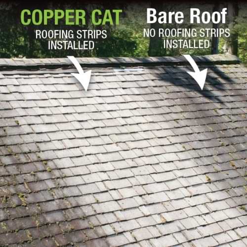 Copper roof tape results