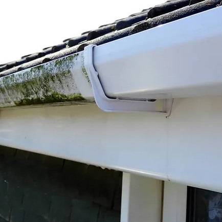 fascia and gutter cleaning service